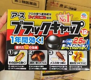 箱起33日本小黑帽，环保无毒诱导杀虫蟑螂屋12个