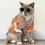 猫咪衣服夏季透气沙滩衬衫英短蓝白无毛猫小猫宠物狗狗薄款防掉毛