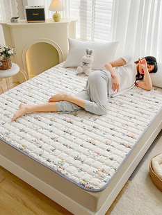 床褥子家用软垫席梦思保护垫褥可洗薄款防滑榻榻米床垫上铺的褥子