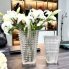 加厚亮网红轻奢欧式玻璃花瓶，透明插花现代客厅简约家居装饰品摆件