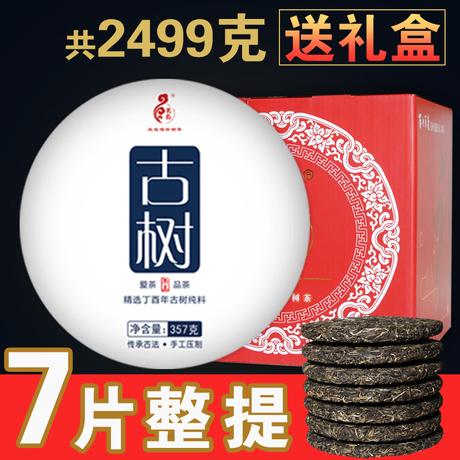 普洱茶生茶乔木古树