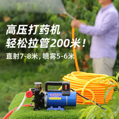 农用12v高压水泵洗车果园自吸泵