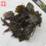 大叶苦丁500g新鲜中药材茶毛冬青茶苦甘叶