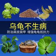 乌龟缸养龟专用龙眼木造景装饰水草，用品治疗绿物乌龟晒台植物摆件
