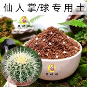 仙人掌专用土仙人球肉肉玉麒麟防辐射盆栽花卉培植土通用型营养土