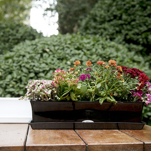 家庭园艺树脂加厚环保长方形高光细长条种花盆阳台种菜盆送托盘