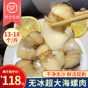 海螺肉新鲜冷冻大海螺鲜活现剥去内脏海鲜水产商用海螺肉2斤