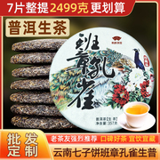 班章孔雀普洱茶生茶七子饼茶云南勐海古树茶叶