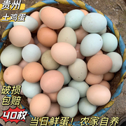 贵州山区农家粮食散养土鸡蛋草鸡蛋乌鸡绿壳蛋柴鸡蛋新鲜40枚