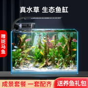 鱼缸水族箱超白玻璃客厅小型迷你桌面免换水家用小金鱼缸生态造景