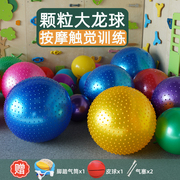 早教感统按摩大龙球儿童前庭平衡板触觉训练器材颗粒瑜伽家用玩具