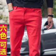 冬季男士休闲裤橙色修身直筒彩色紫色纯棉弹力红色大码长裤子潮流