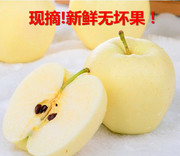 5斤黄元帅香蕉苹果水果新鲜婴儿宝宝老人刮泥吃的粉面酥金帅苹果