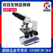 佑科XS-2CA/8CA实验室双目生物显微镜电光源1600倍细胞观察