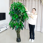 大型仿真绿植假发财树客厅室内落地假盆栽景塑料植物装饰摆设件