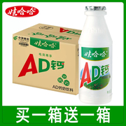 娃哈哈AD钙奶220ml*40大瓶整箱早餐儿童牛奶风味酸奶饮料送礼