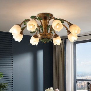 美式客厅卧室田园水晶，吸顶灯家用餐厅书房，创意个性简欧式奢华灯具