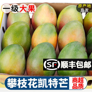 四川攀枝花凯特芒果新鲜10斤大果当季水果，整箱特大青甜芒新的