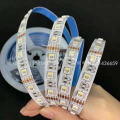 RGBW四合一灯带12v24伏5050RGB+暖白RGB+白光RGBww贴片led软灯条