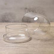 大号玻璃罩 苔藓创意简约许愿生态微景观桌面透明玻璃瓶制品
