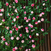 仿真玫瑰花假花空调管道装饰花，藤条遮挡塑料藤蔓，植物摆设吊顶墙面