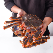 活帝王蟹1只3.5-5斤海鲜水产大螃蟹长脚蟹