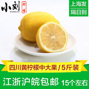 中果四川黄柠檬(黄柠檬)2500g安岳柠檬尤力克免新鲜多汁小刘