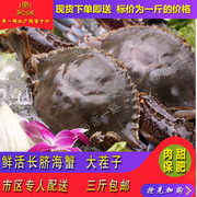 天津梭子蟹公海蟹鲜活螃蟹长脐保肥海鲜叉子蟹皮皮虾海虾不