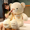 熊熊毛绒玩具熊猫公仔泰迪熊玩偶送女朋友抱抱熊布娃娃女孩抱着睡