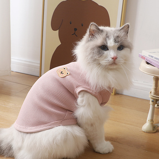 宠物猫咪衣服春秋款简约透气套头无袖背心可爱小熊卡通图案两脚衣