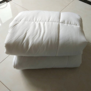 品圆床床褥子加厚圆床床，垫子宾馆酒店防滑圆床垫被，圆形保护垫2新