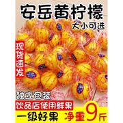 四川安岳黄柠檬(黄柠檬)一级果皮薄多汁，当季水果香柠檬大中小整箱5斤