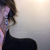 925银针欧美时尚夸张满钻耳环，巴洛克风镶钻长款耳坠网红闪钻耳饰