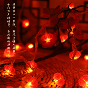 新年装饰流苏红灯笼灯串led氛围灯家用春节过年节日布置阳台场景