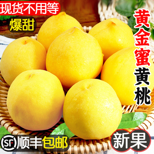 黄桃5斤新鲜水果时令，应当季整箱桃子，大果水果蜜桃10脆桃