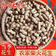 正宗农家柴火原味炒花生现炒现卖干炒盐炒花生500g袋追剧休闲零食