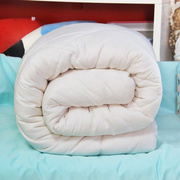 新疆棉U花褥子垫被褥单人1.2米床垫垫褥纯棉床褥加厚垫子1.8m床垫
