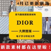 dior迪奥男女服装人物花卉，抽象字母印花矢量，图案素材大牌奢侈品