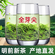 毛尖茶叶 信阳毛尖2024新茶绿茶明前特级嫩芽浓香散装春茶250g