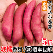 正宗新鲜临安天目山小香薯5斤小红薯，农家紫薯地瓜山芋板栗番薯10