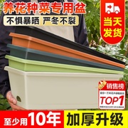阳台种菜专用盆长方形花盆家用塑料树脂特大号长条种植箱加厚耐用