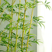 仿生竹子室外假竹子，仿真植物隔断挡墙酒店，专用仿真竹子装饰造景
