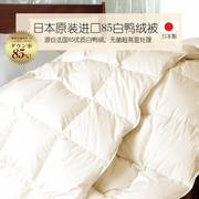 日本製进口羽绒被全棉贡缎85白鸭绒冬被春秋被子被芯加厚