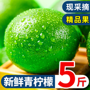 安岳新鲜青柠檬现摘一级果，5斤皮薄酸爽香水绿柠檬，奶茶店榨汁3