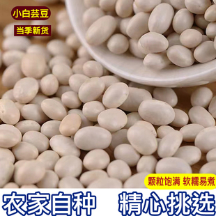 小白豆新货贵州特产，小白芸豆芸豆白豆饭豆，珍珠豆本地小白豆
