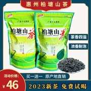 买一送一广东惠州博罗柏塘山茶手工炒青茶浓香型清香绿茶茶叶2022