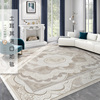 土耳其进口地毯客厅，美式高级卧室极简欧式轻奢加厚法式复古茶几毯