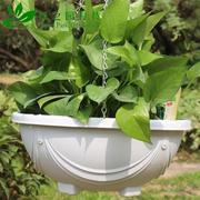 120ml绿叶王催花王绿萝盆栽藻类，植物专用通用叶面水培花卉营养液