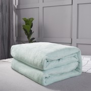素色珊瑚绒毯子单人法兰绒，毛毯双人纯色保暖床单，学生宿舍1.8床