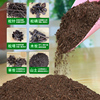 腐熟松针腐殖土天然有机营养，土种花种菜专用土壤，通用型腐叶种植土